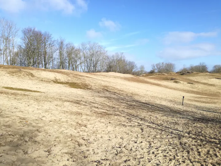 De Panne (België)